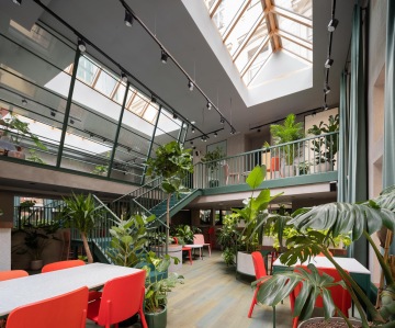 schodiště a rostliny