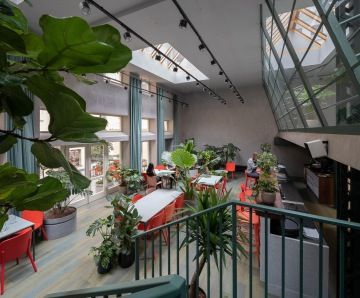 výhled na kavárnu se zelení ze schodiště