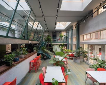 wellness café full of plants