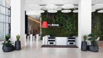 Myhive lobby s recepcí v přírodních barvách a živou stěnou ve firmě IMMOFINANZ