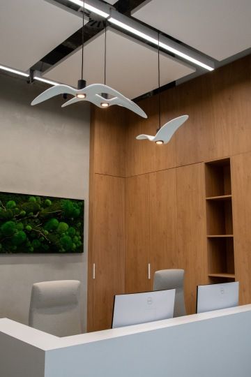 Glass lights shaped like birds