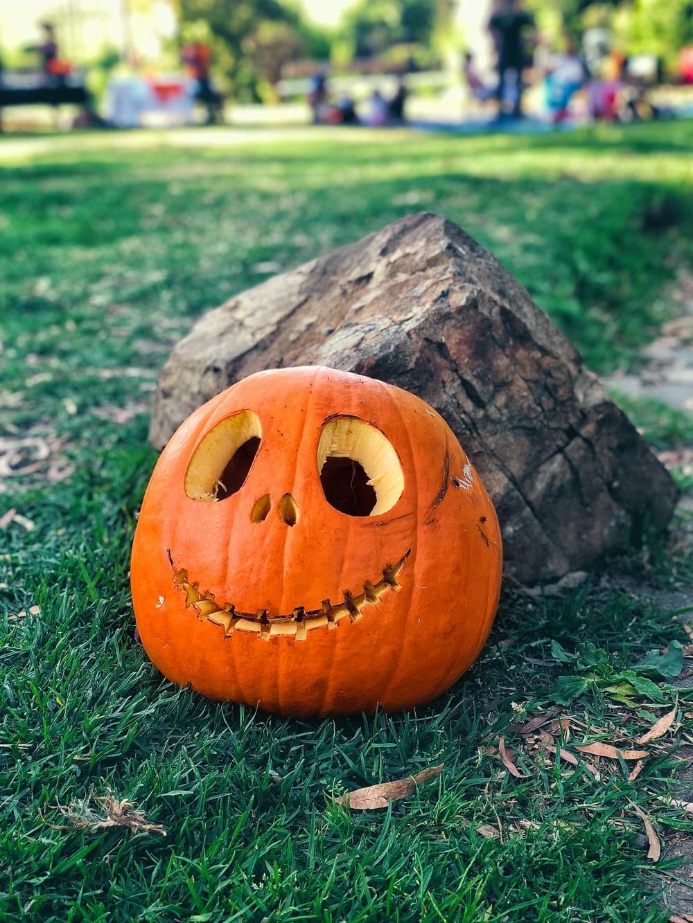 Carved halloween pumpkin